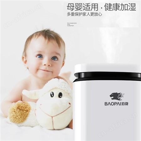 豹牌 台式加湿器 BP-8025 美泽团建礼品 礼品公司代理 MY-WBKJ-Y-L5-114