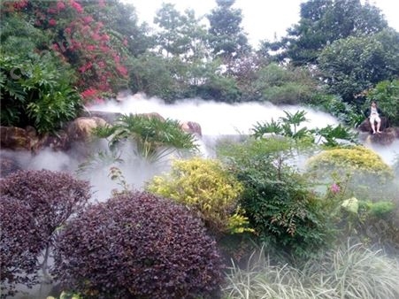园林雾森系统 喷雾造景 喷雾造景厂家