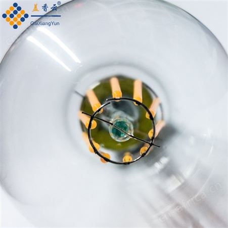 盖香云A60款E27螺口LED灯丝灯泡-10W