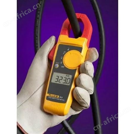 福禄克钳型表 Fluke 323 真有效值交直流钳型表