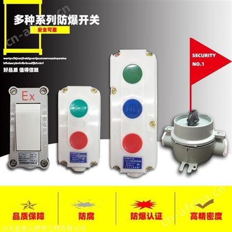 盖香云防爆防腐照明控制开关按钮 有多种类型