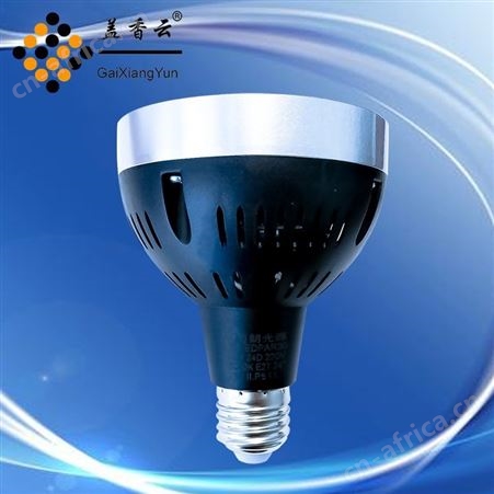 盖香云LEDPAR30-35W轨道射灯-LEDPAR30射灯欧司朗款