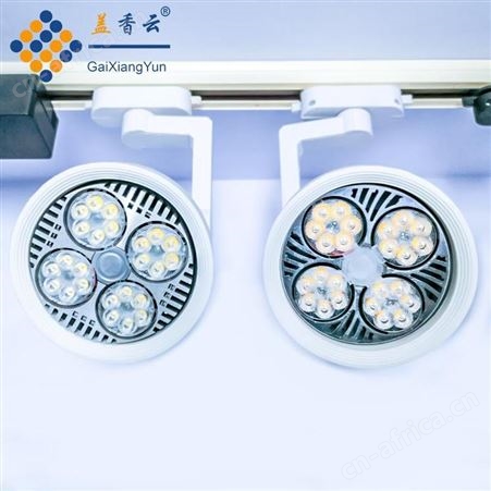 盖香云LED轨道射灯PAR30轨道灯-白