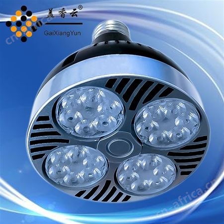 盖香云LEDPAR30-35W轨道射灯-LEDPAR30射灯欧司朗款