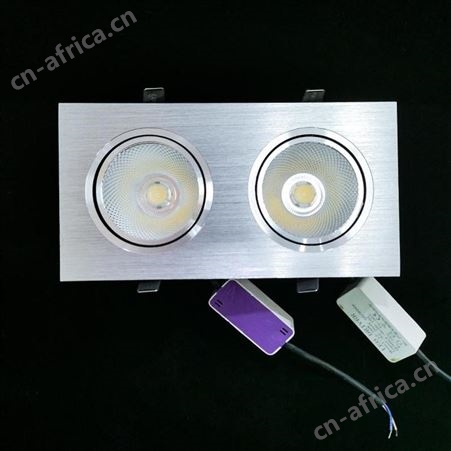 盖香云LED双头斗胆灯吊顶格栅灯嵌入式天花灯双排斗胆灯COB款12W金色