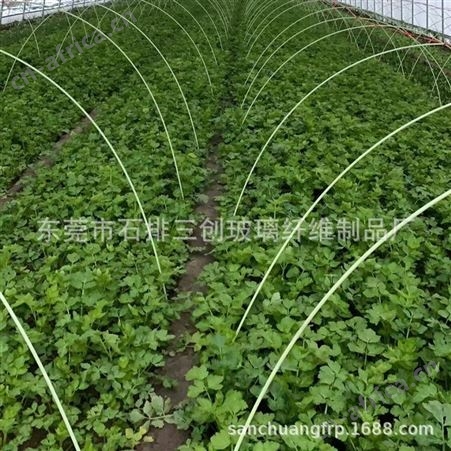 专业生产直销耐腐蚀高弹性小拱棚支架 温室大棚支架 爬藤支柱