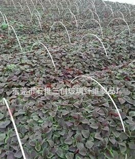 专业生产直销耐腐蚀高弹性小拱棚支架 温室大棚支架 爬藤支柱