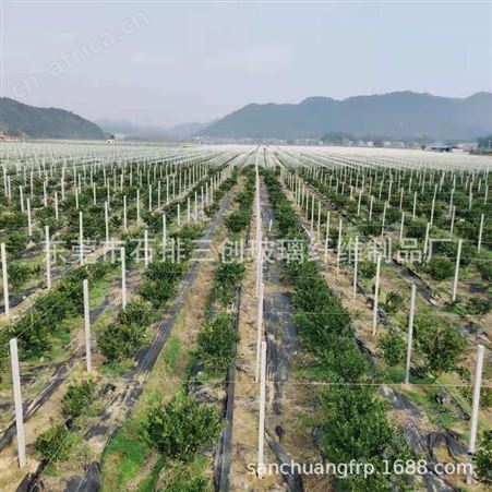 专业生产直销高强度耐腐蚀玻璃纤维拱棚杆 温室育苗葡萄支架