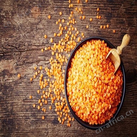 天津进口零食报关资料华晨远洋