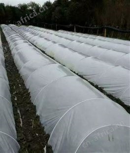 支撑杆 拱棚 葡萄架 苗木支撑 农用杆 高强度抗老化