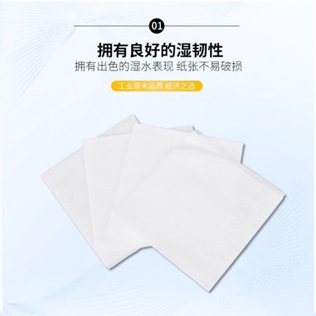 无尘车间除尘纸 M-3擦拭纸清洁纸 防静电防护工业纸