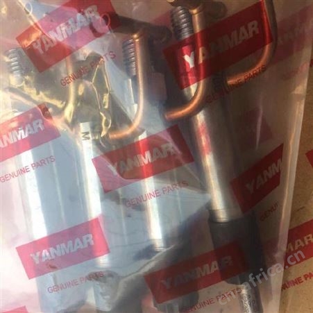 嵩阳喷油器445110307生产厂家