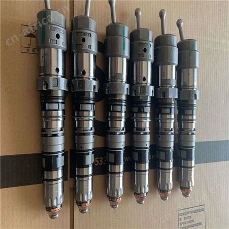 嵩阳喷油器445110307生产厂家