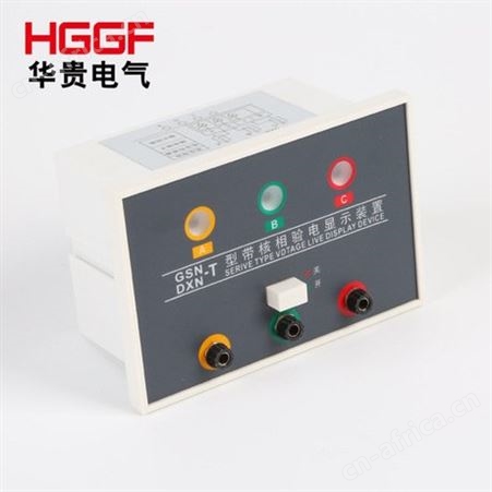 带电显示器， 高压带电显示器，GSN/DXN-T型 带核相验电显示装置