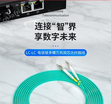 烽火多模多芯万兆工程电信级5/10/20米按对卖连接收发器光模块