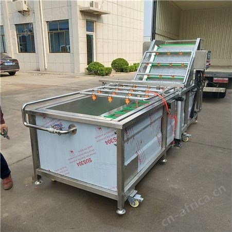 青椒气泡清洗机 全自动气泡清洗设备 不锈钢果蔬清洗机