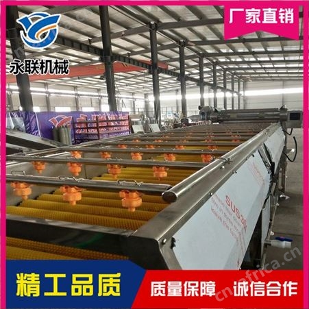 永联 胡萝卜毛刷清洗机直销 莲藕毛刷清洗机直销