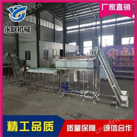 永联 胡萝卜毛刷清洗机直销 莲藕毛刷清洗机直销
