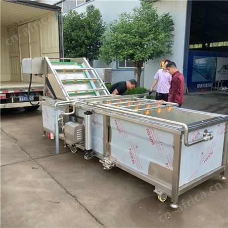 青椒气泡清洗机 全自动气泡清洗设备 不锈钢果蔬清洗机
