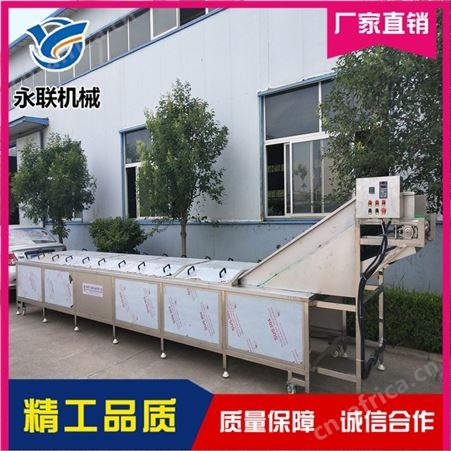 魔芋条大型连续式蒸煮漂烫机 什锦全自动漂烫杀青设备