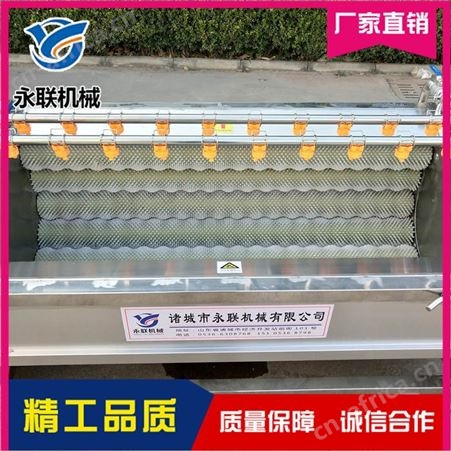 土豆红薯去皮清洗机 全自动胡萝卜莲藕脱皮机