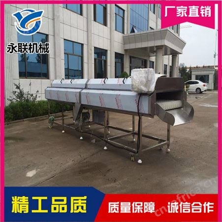 鸡蛋果清洗机 全自动迷你小南瓜清洗机 甘露子清洗机