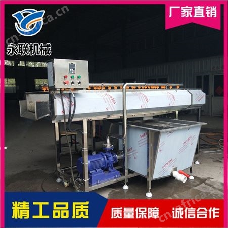 全自动牡蛎海蛎子毛刷清洗机 柠檬柚子蜜桔清洗设备 水果清洗打蜡机