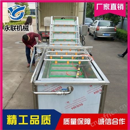 大型清洗流水线   小油菜清洗流水线