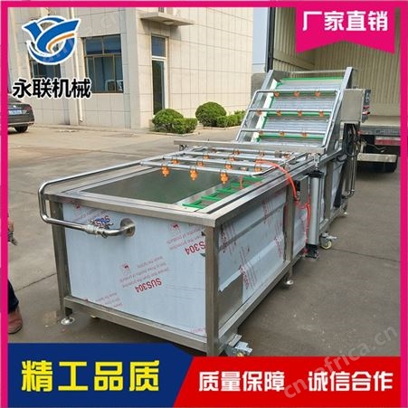 大型清洗流水线   小油菜清洗流水线