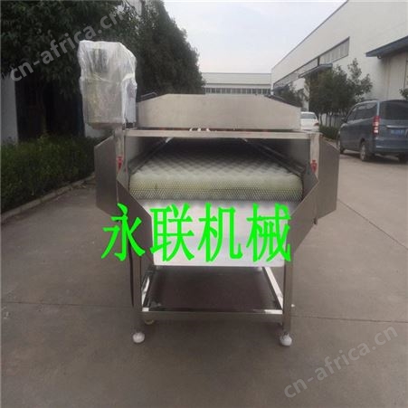 鸡蛋果清洗机 全自动迷你小南瓜清洗机 甘露子清洗机