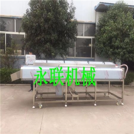 鸡蛋果清洗机 全自动迷你小南瓜清洗机 甘露子清洗机