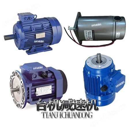 中国台湾生产 TJ-CHM卧式直接型齿轮减速马达头 减速头配电机价格