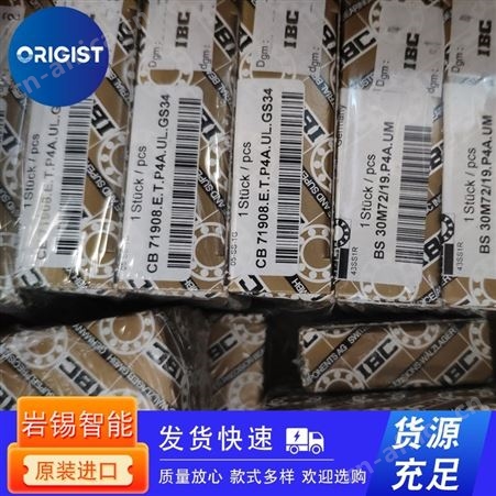 ero-fuehrungen主轴/轴承Zahnscheibe Spindel LS36AT5-/40