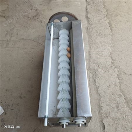 腾拓制造毛刷洗蛋机 商用禽类鸡蛋泥蛋咸鸭蛋清洗设备 小型清洗机器设备