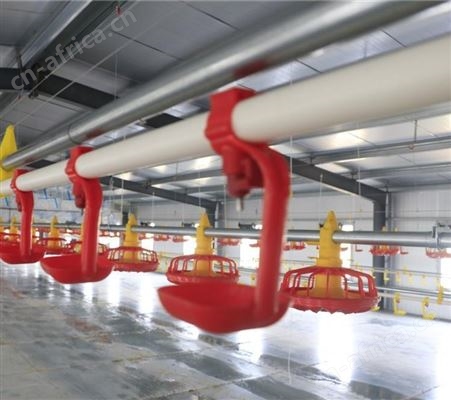 水线畜牧养殖专用厂家批发全国发货