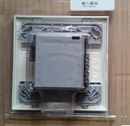 爱德华G1RF-VM闪灯 G1R-VM