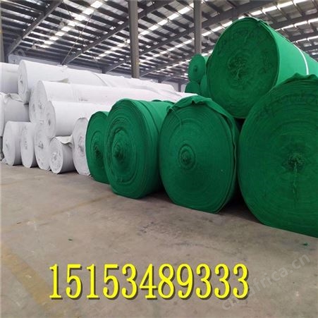 厂家出售白色土工布隔离反滤过滤土工布树木保养保暖绿色土工布