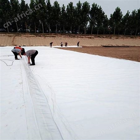 恒瑞通长纤土工布长纤土工布生产厂家工程用土工布厂家厂家定制