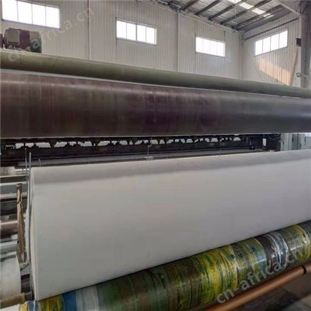 土工膜防渗防水复合土工膜聚乙烯隔离复合土工膜一布一膜水库堤坝