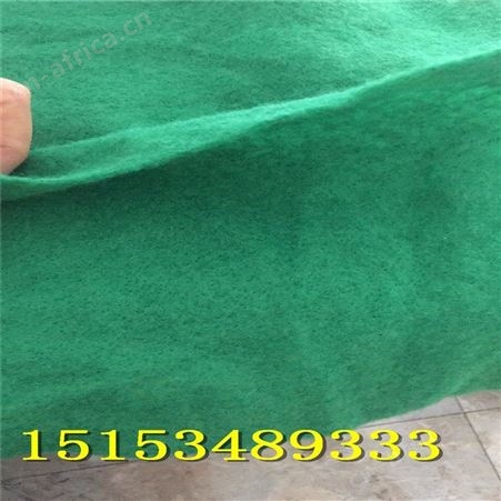厂家出售白色土工布隔离反滤过滤土工布树木保养保暖绿色土工布