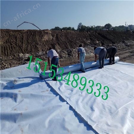 土工膜 隧道工矿工程防渗膜 HDPE防水复合土工膜