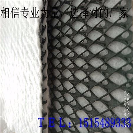 三维复合排水网生产厂家供货及时质量保证