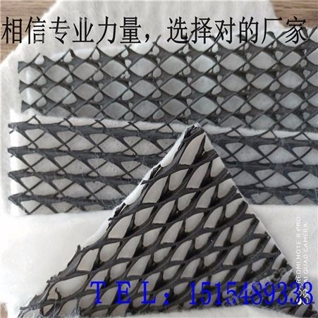 三维复合排水网生产厂家供货及时质量保证