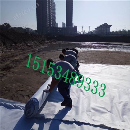 土工膜 隧道工矿工程防渗膜 HDPE防水复合土工膜