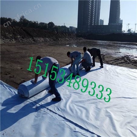 土工膜 隧道工矿工程防渗膜 HDPE防水复合土工膜
