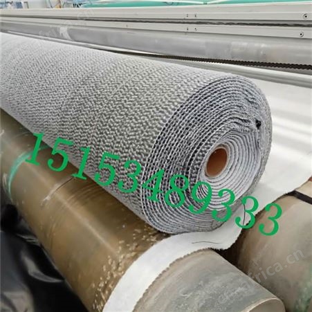 防水毯GCL膨润土防水毯 编织园林GCL膨润土防水毯