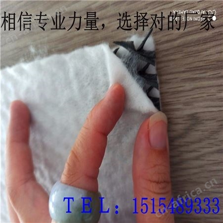 三维复合排水网生产厂家供货及时质量保证