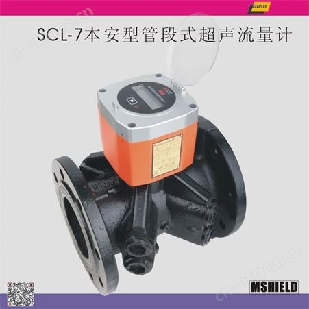 EXEPSYS-SCL-80(82)矿用隔爆本安型超声流量计EXEPSYS-SCL-80(82) 智能型产品