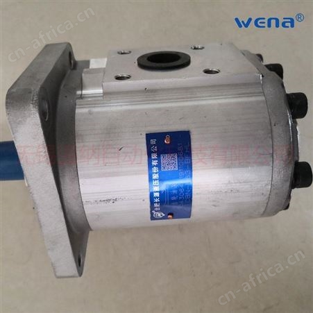 改装车齿轮泵 CBN-F540-BFH合肥长源齿轮泵
