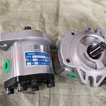 装载机齿轮泵CBK1020 温纳齿轮油泵厂家